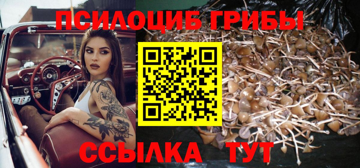 Псилоцибиновые грибы GOLDEN TEACHER  Вход с VPN  Мариинск 