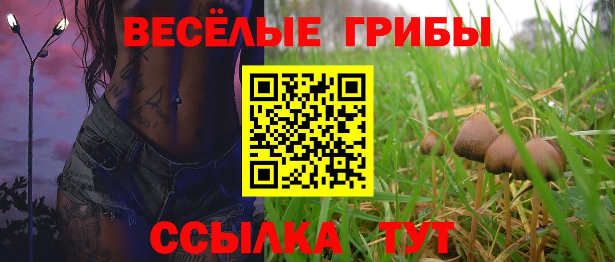 Галлюциногенные грибы Magic Shrooms Мариинск